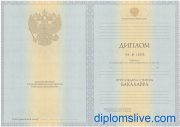 Бакалавр 2010 - 2013